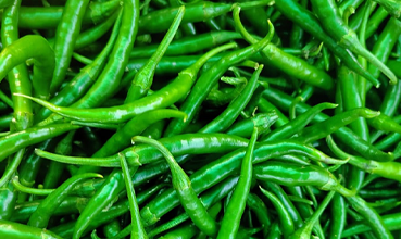 Green Chilli Export
