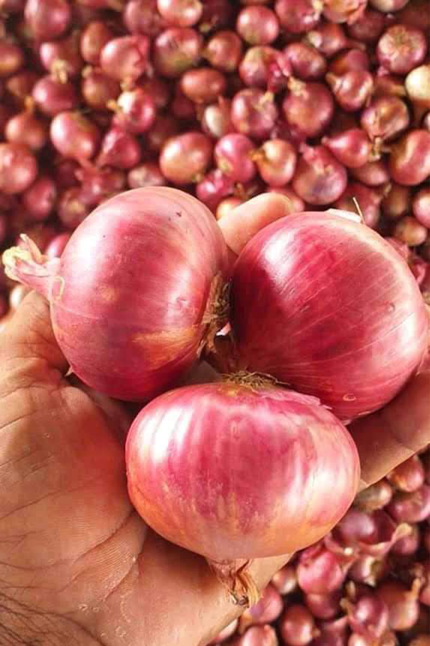 Mauli Trading Nashik